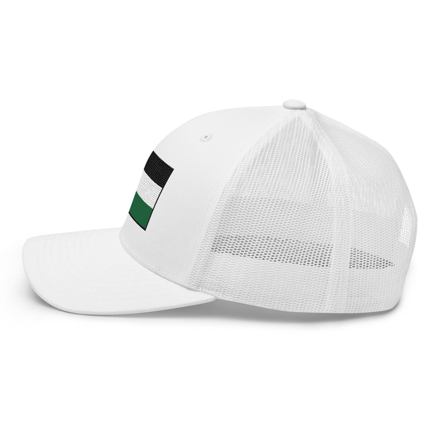 Snapback Hat Free Palestine left