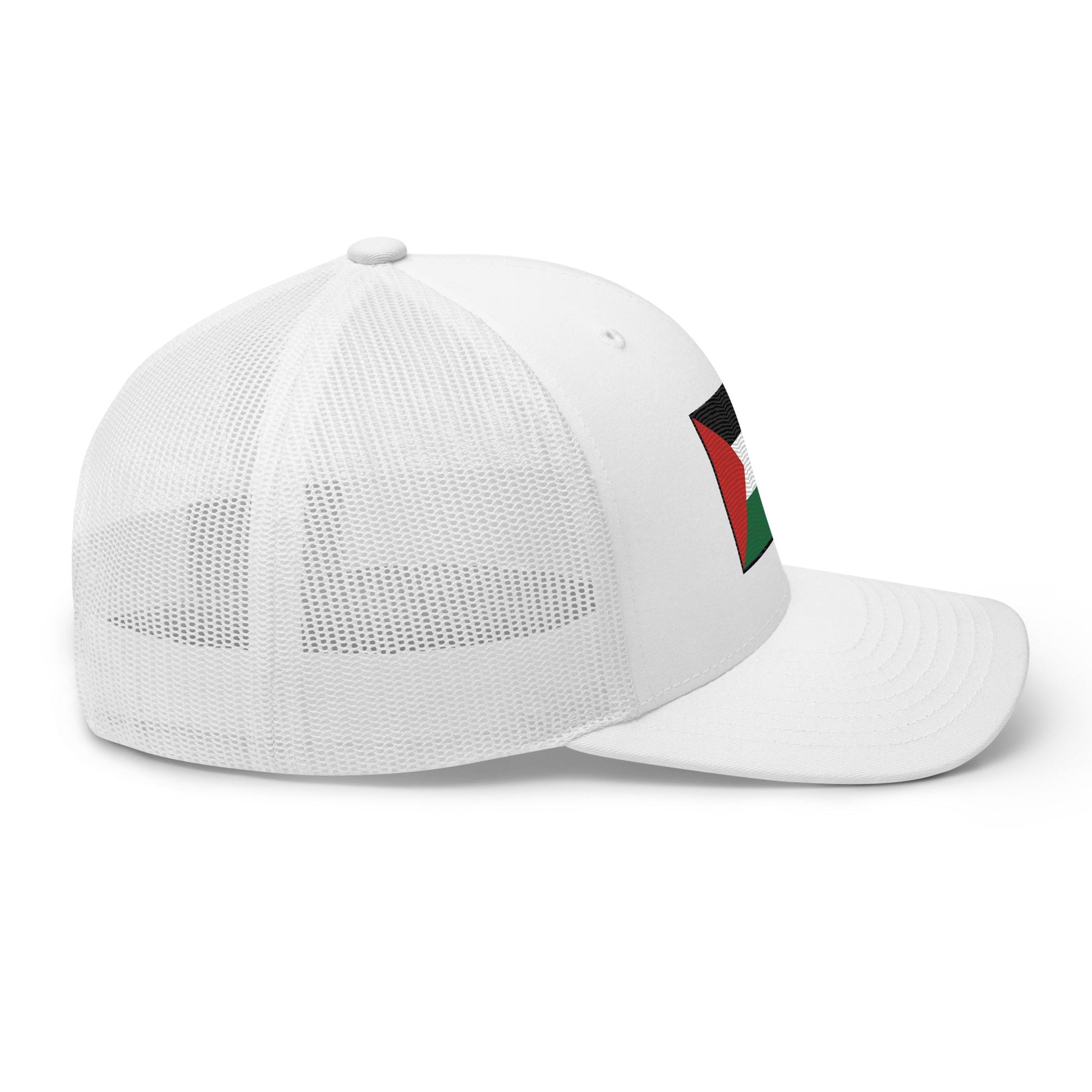 Snapback Hat Free Palestine right